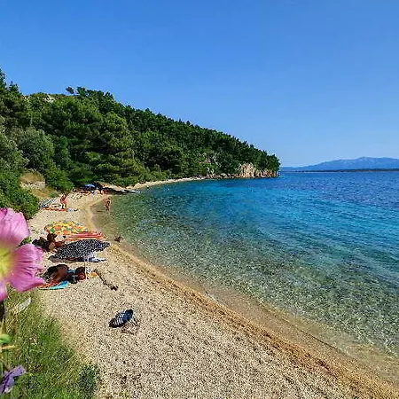 Camp Dole Zivogosce Podgora (Split-Dalmatia)