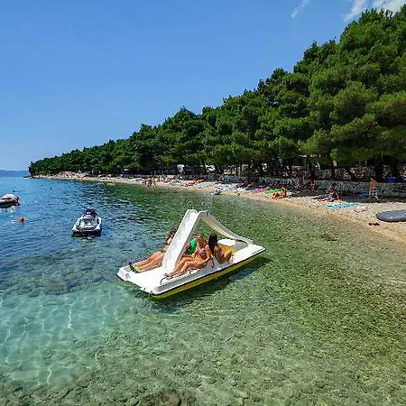 Camp Dole Zivogosce 2* Podgora (Split-Dalmatia)