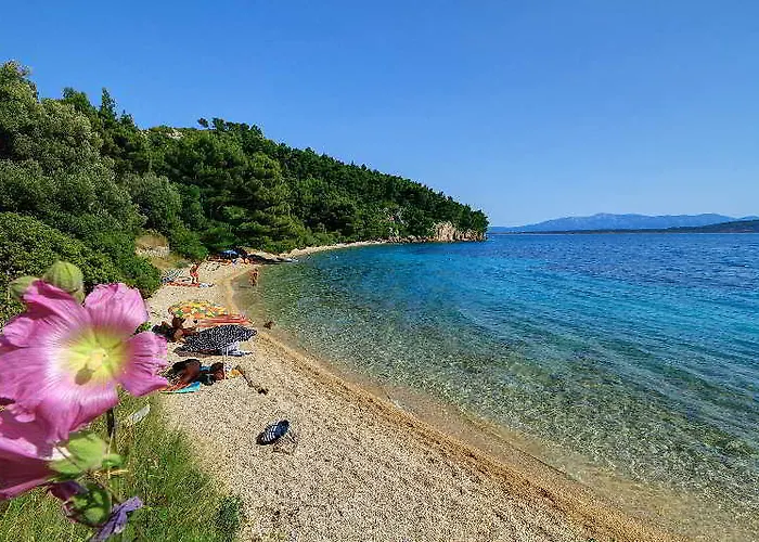 Camp Dole Zivogosce Podgora (Split-Dalmatia)